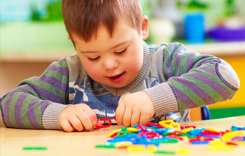 Educating Students with Disabilities